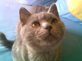 macky